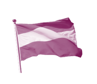 Vlag